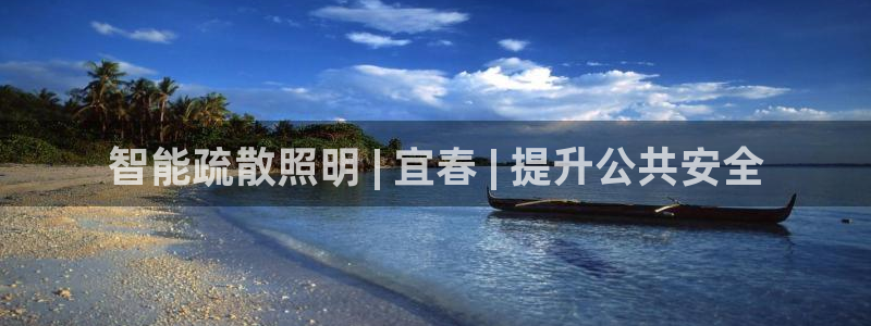 千亿国际在线入口:智能疏散照明 | 宜春 | 提升公共安全