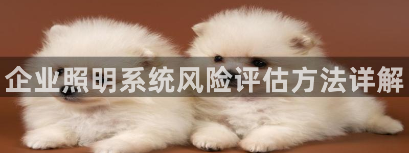 千亿国际手机登录网：企业照明系统风险评估方法详解