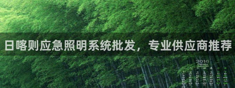 千亿国际是什么平台:日喀则应急照明系统批发,专业供应商推荐