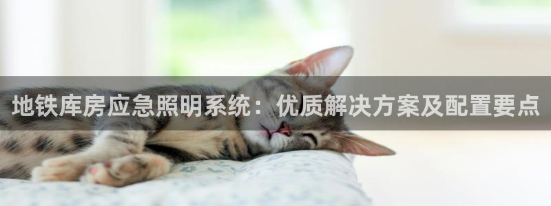 千亿国际网页版登录下载：地铁库房应急照明系统：优质解决方案及配置要点