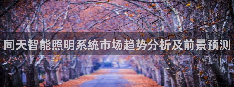 千亿国际平台是什么平台:同天智能照明系统市场趋势分析及前景预测
