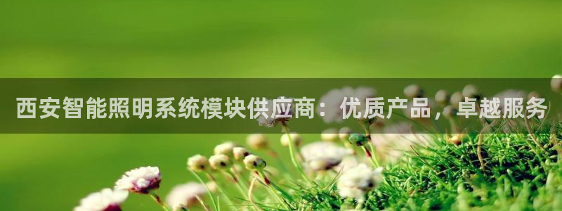 千亿国际平台怎么样啊:西安智能照明系统模块供应商:优质产品,卓越服务