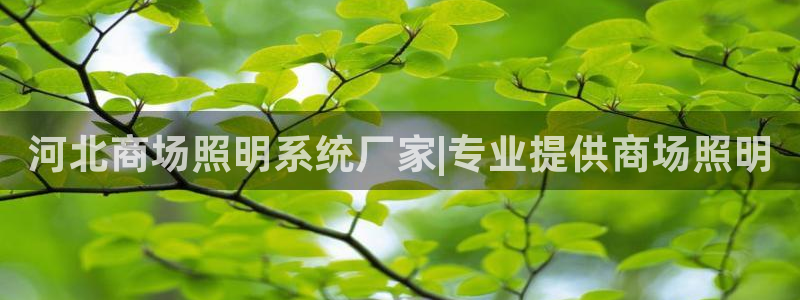 千亿国际(唯一)平台下载:河北商场照明系统厂家|专业提供商场照明