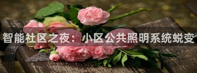 千亿国际集团是国企吗:智能社区之夜:小区公共照明系统蜕变
