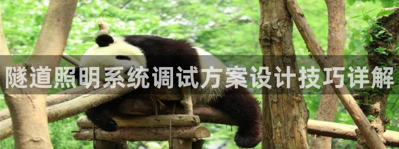 千亿国际中国官方：隧道照明系统调试方案设计技巧详解