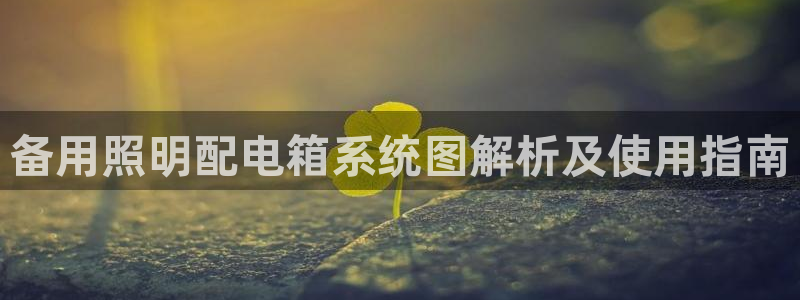 千亿国际董事长是谁：备用照明配电箱系统图解析及使用指南