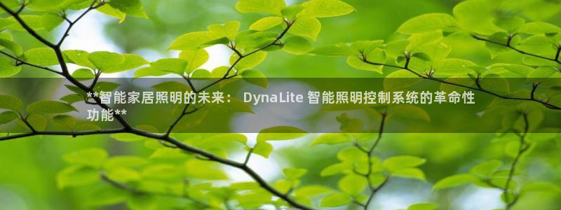 千亿国际平台是真是假:**智能家居照明的未来: DynaLite 智能照明控制系统的革命性
功能**