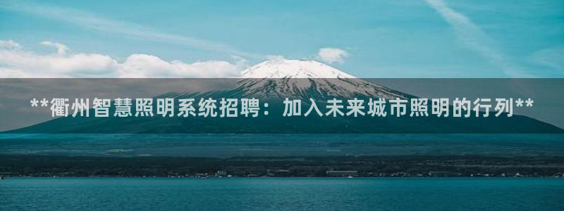 千亿国际平台是什么公司：**衢州智慧照明系统招聘：加入未来城市照明的行列**