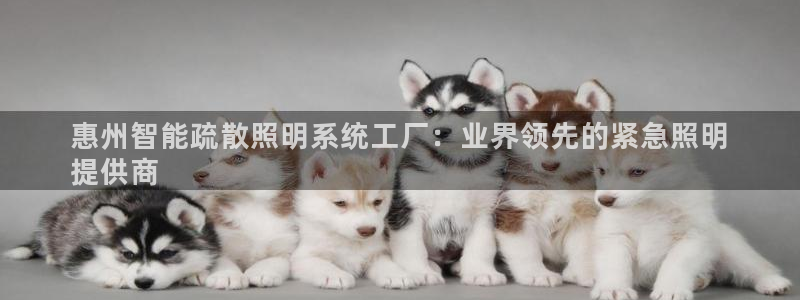 千亿国际希沃赋能教育:惠州智能疏散照明系统工厂:业界领先的紧急照明
提供商