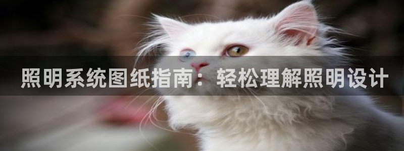 千亿国际旧版本： 照明系统图纸指南：轻松理解照明设计