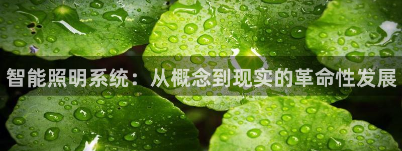 千亿国际集团招聘:智能照明系统:从概念到现实的革命性发展