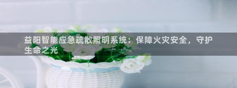 千亿国际董事长是谁:益阳智能应急疏散照明系统:保障火灾安全,守护
生命之光