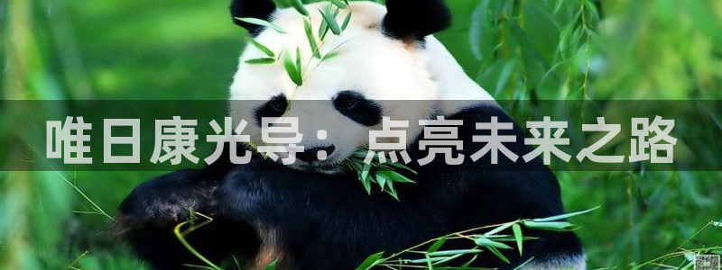 千亿国际平台怎么样啊：唯日康光导：点亮未来之路
