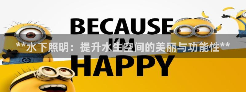 千亿国际是做什么的:**水下照明:提升水生空间的美丽与功能性**