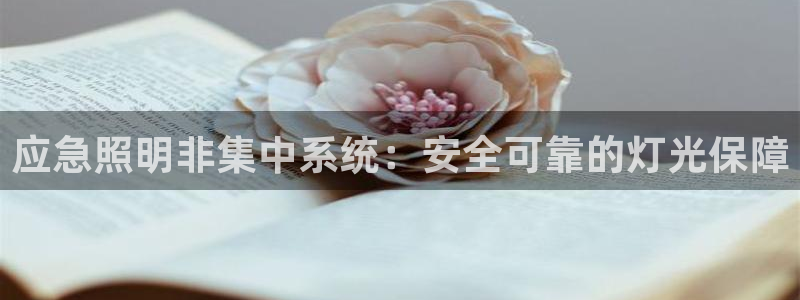 千亿国际是什么平台：应急照明非集中系统：安全可靠的灯光保障