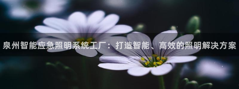 千亿国际旧版本：泉州智能应急照明系统工厂：打造智能、高效的照明解决方案