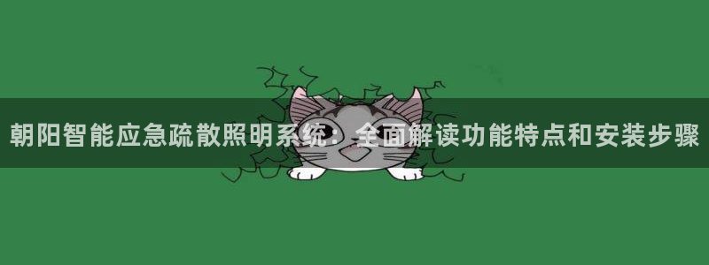 千亿国际公司网址是多少:朝阳智能应急疏散照明系统:全面解读功能特点和安装步骤