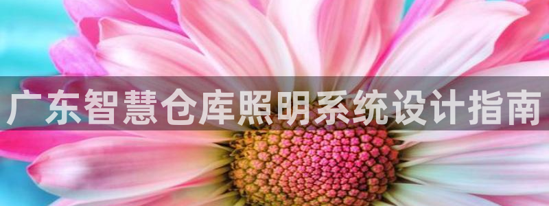 千亿国际在线入口：广东智慧仓库照明系统设计指南
