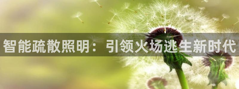 千亿国际游戏平台网站：智能疏散照明：引领火场逃生新时代
