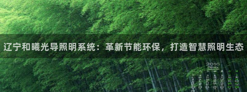 千亿国际全新官网:辽宁和曦光导照明系统:革新节能环保,打造智慧照明生态