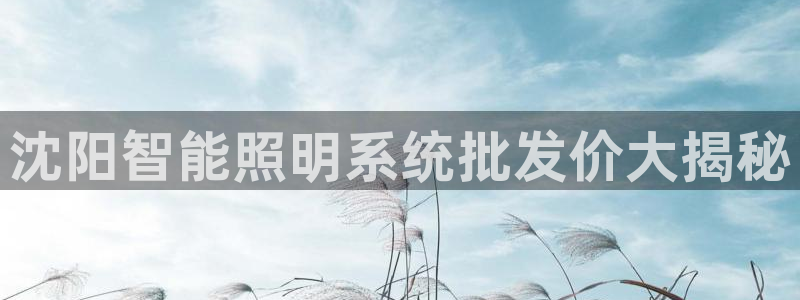 千亿国际平台怎么样啊:沈阳智能照明系统批发价大揭秘