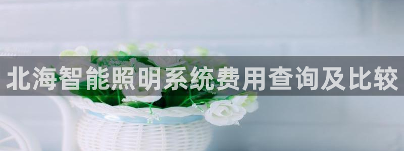 千亿国际手机版yb34点cn：北海智能照明系统费用查询及比较