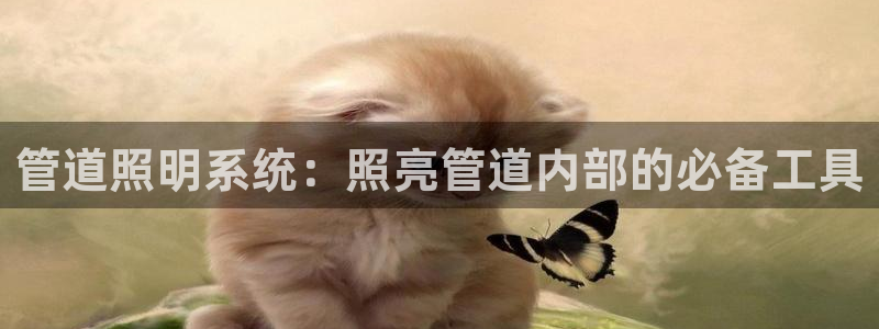 千亿国际手机官网app:管道照明系统:照亮管道内部的必备工具