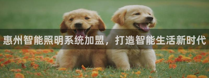 千亿国际账号登录官网:惠州智能照明系统加盟,打造智能生活新时代