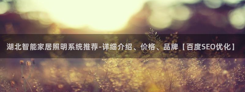 千亿国际游戏登录平台:湖北智能家居照明系统推荐-详细介绍、价格、品牌【百度SEO优化】