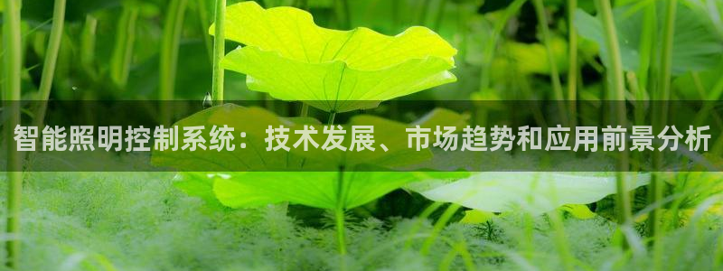 千亿国际提款有没有问题啊知乎:智能照明控制系统:技术发展、市场趋势和应用前景分析