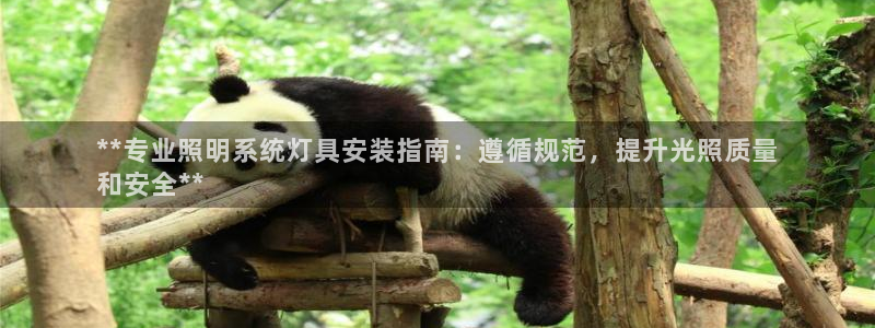 千亿国际qy8.vp：**专业照明系统灯具安装指南：遵循规范，提升光照质量
和安全**