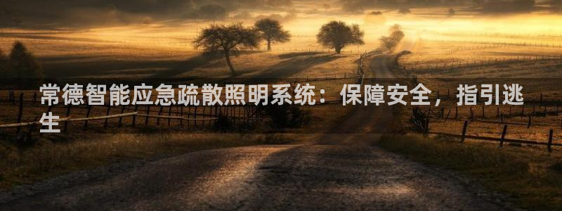 千亿国际唯一官方网站登录:常德智能应急疏散照明系统:保障安全,指引逃
生