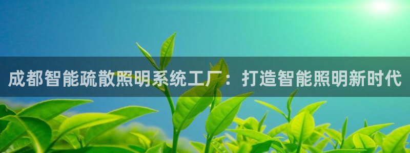千亿国际手机登录版下载:成都智能疏散照明系统工厂:打造智能照明新时代