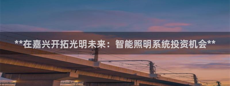 qy886千亿国际下载:**在嘉兴开拓光明未来:智能照明系统投资机会**