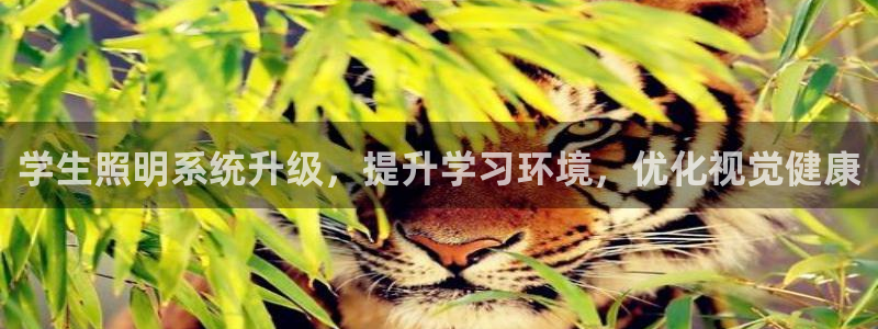 千亿国际跟盛辉是一家的吗知乎:学生照明系统升级,提升学习环境,优化视觉健康
