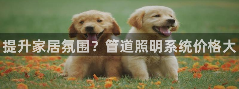 千亿国际集团怎么样:提升家居氛围?管道照明系统价格大