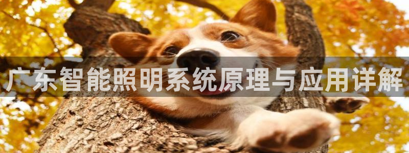千亿国际平台是真是假呀:广东智能照明系统原理与应用详解
