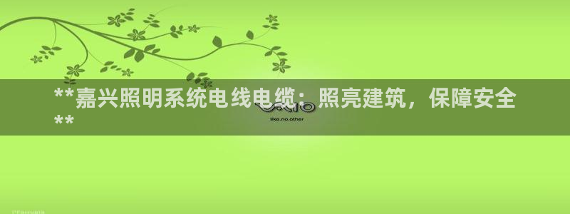 千亿国际中国官方:**嘉兴照明系统电线电缆:照亮建筑,保障安全
**