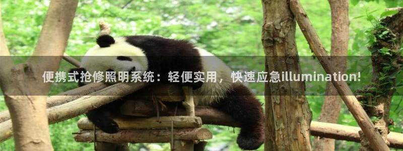 千亿国际集团怎么样啊:便携式抢修照明系统:轻便实用,快速应急illumination!