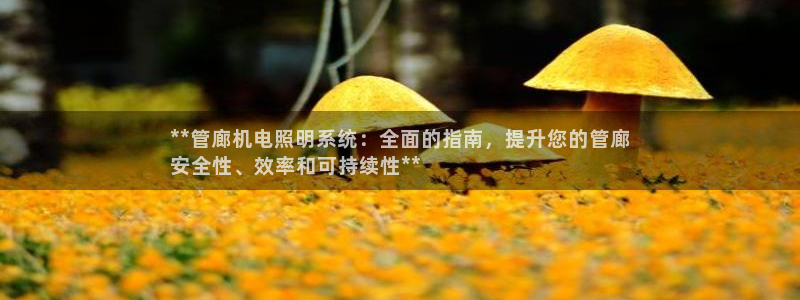 千亿国际服务平台是什么:**管廊机电照明系统:全面的指南,提升您的管廊
安全性、效率和可持续性**