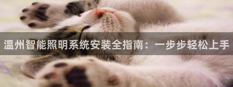 千亿国际是做什么的公司:温州智能照明系统安装全指南:一步步轻松上手