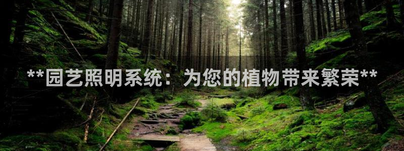 千亿国际内蒙圣懿团队成员名单:**园艺照明系统:为您的植物带来繁荣**