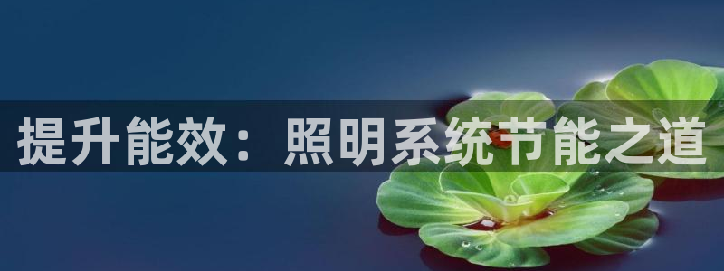 千亿国际账号登录：提升能效：照明系统节能之道
