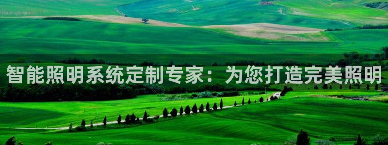 千亿国际qy18vip：智能照明系统定制