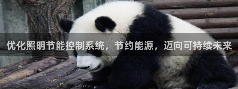 千亿国际qy886:优化照明节能控制系统,节约能源,迈向可持续未来