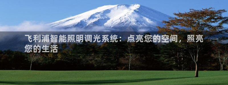 千亿国际官方网站下载:飞利浦智能照明调光系统:点亮您的空间,照亮
您的生活