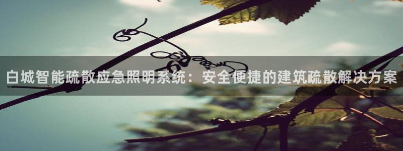 千亿国际黑吗:白城智能疏散应急照明系统:安全便捷的建筑疏散解决方案