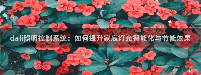千亿国际公司网址是多少：dali照明控制