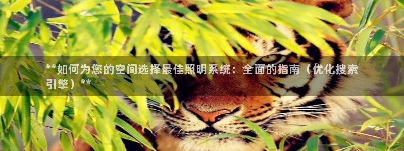 千亿国际在线网页：**如何为您的空间选择最佳照明系统：全面的指南（优化搜索
引擎）**