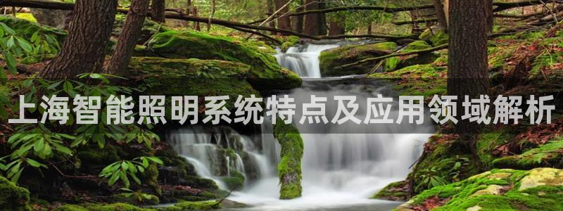 千亿国际手机版app下载：上海智能照明系